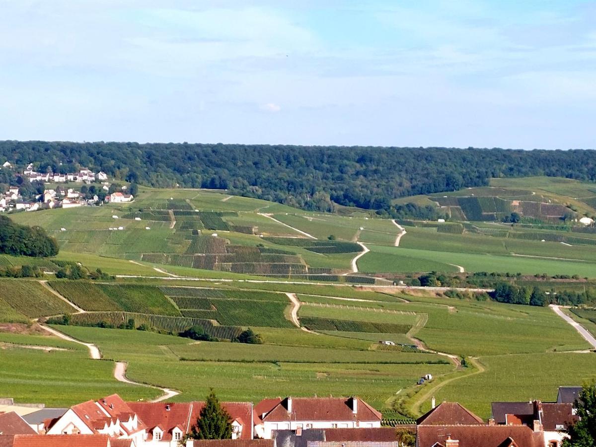 Apartament Epernay Capital De Champagne Zewnętrze zdjęcie
